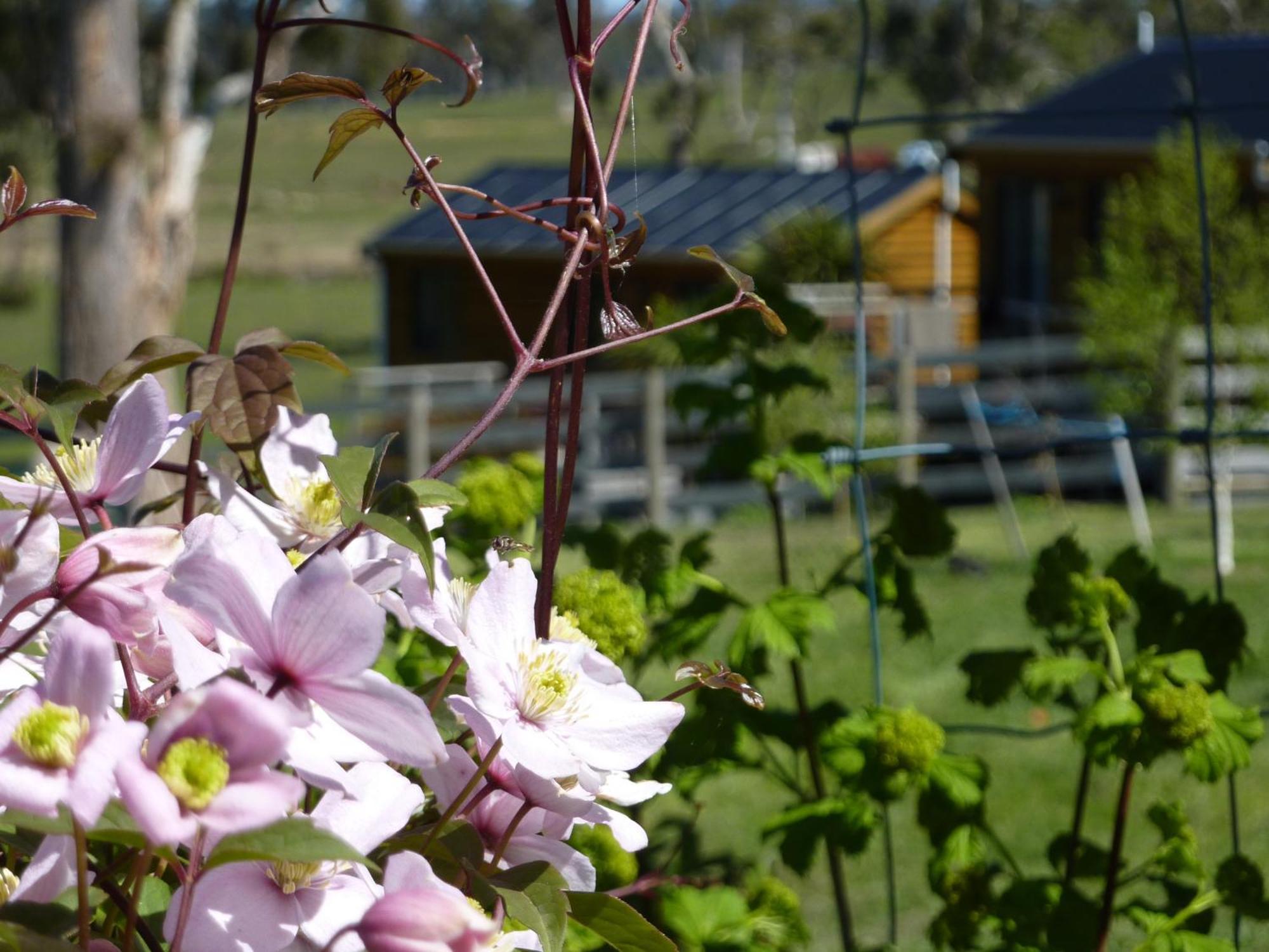 Hazelcreek Cottages Exeter Luaran gambar