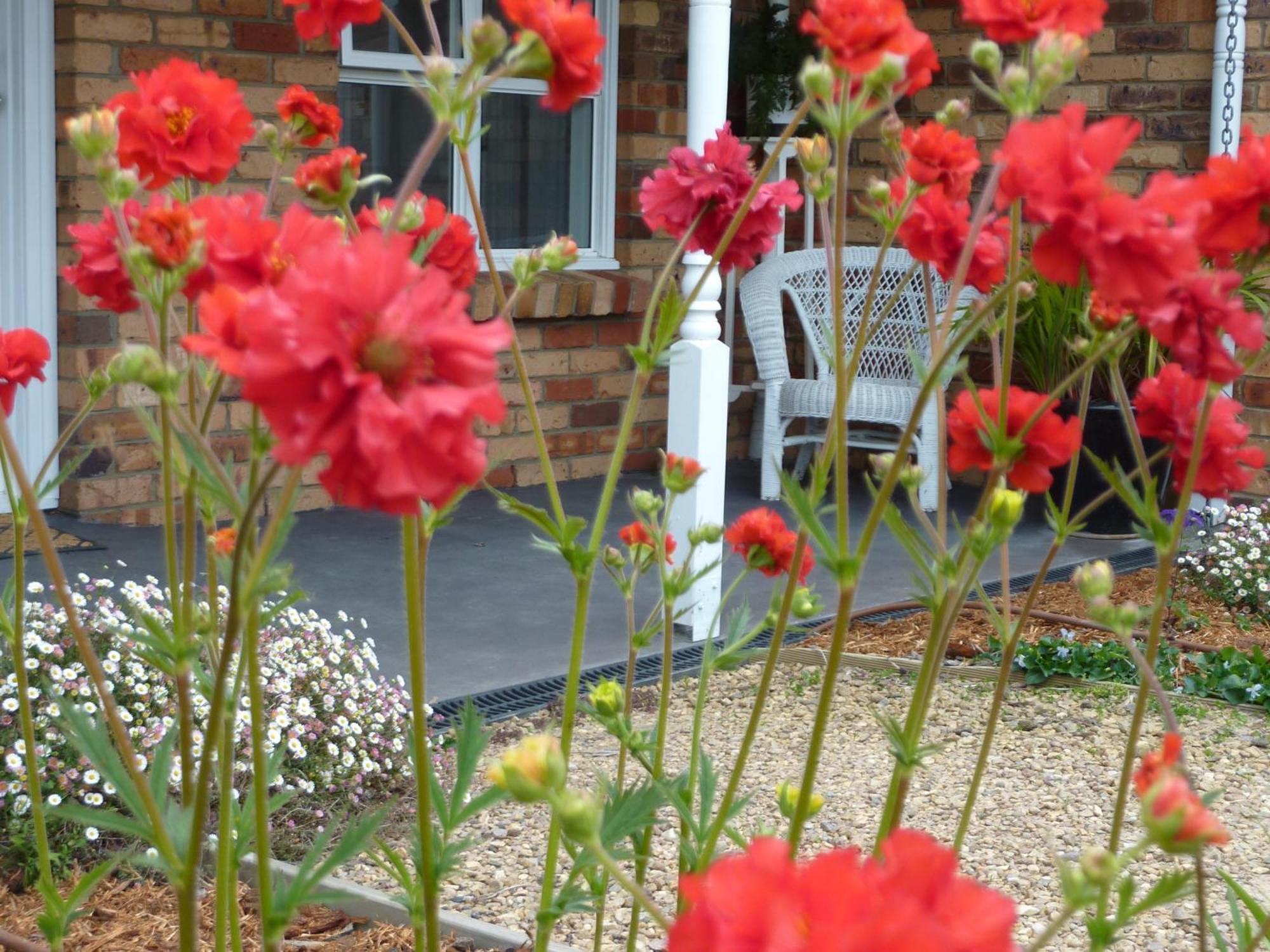 Hazelcreek Cottages Exeter Luaran gambar