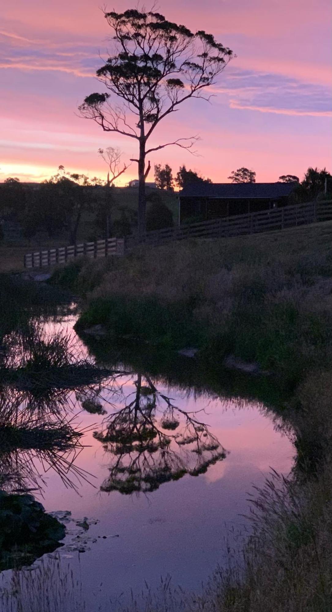 Hazelcreek Cottages Exeter Luaran gambar