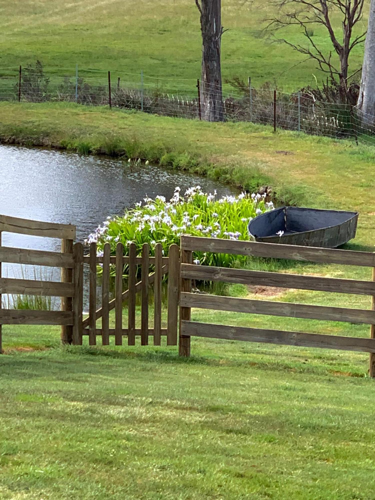 Hazelcreek Cottages Exeter Luaran gambar